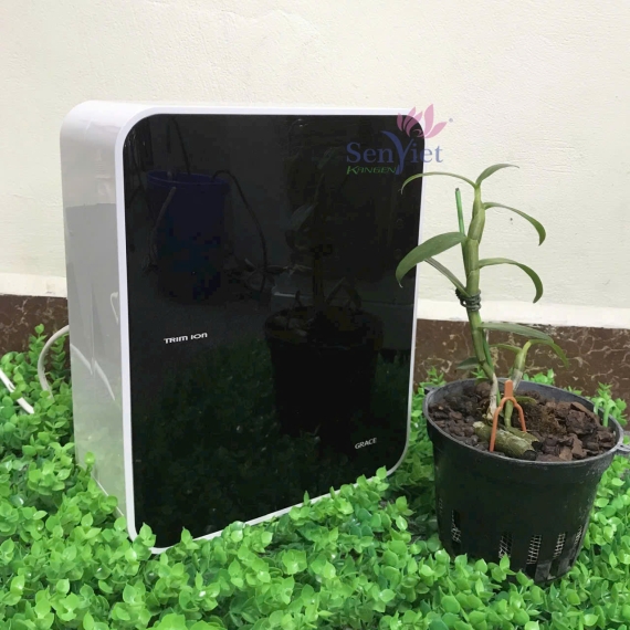 Máy ion kiềm Trim ion grace siêu hidrogen